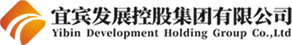 宜宾发展控股集团